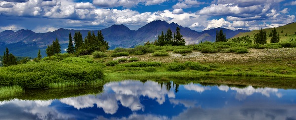 Elevated Refection Print