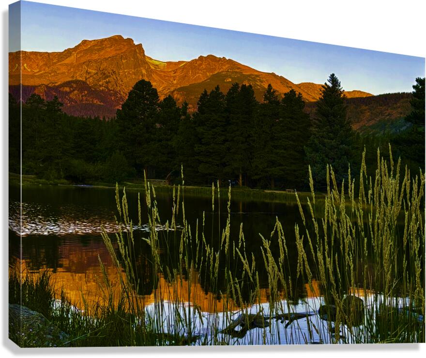 Morning Reflection Canvas Print