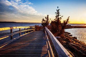 Pathway to the Beach Sandy Hook NJ