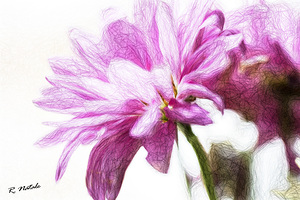 Enchanting Garden Flowers II