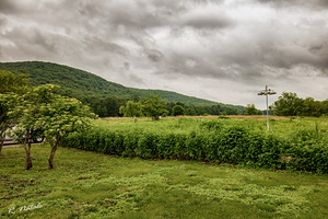 Wallkill River National Wildlife Refuge Spring.jp