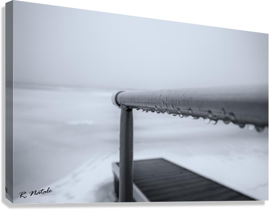Foggy Evening Canvas Print