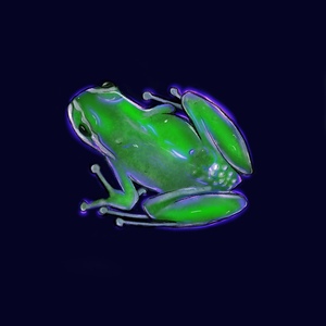 Neon Froge