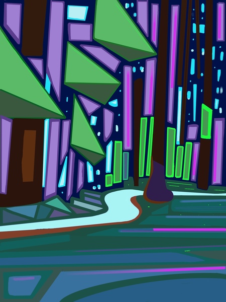 Midnight Trails Print