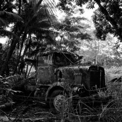 Forgotten