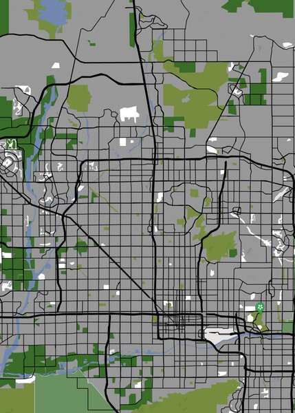 City Map Phoenix Print