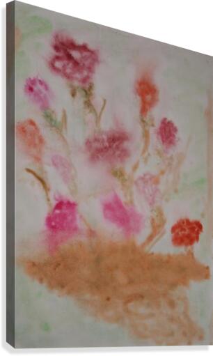 Carnations Canvas Print