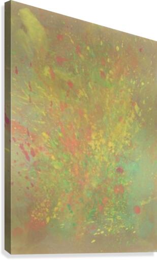 Cosmic explosion Canvas Print