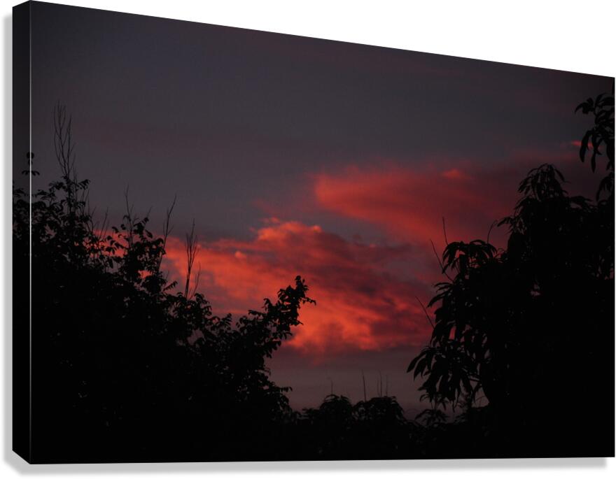 Dream Canvas Print