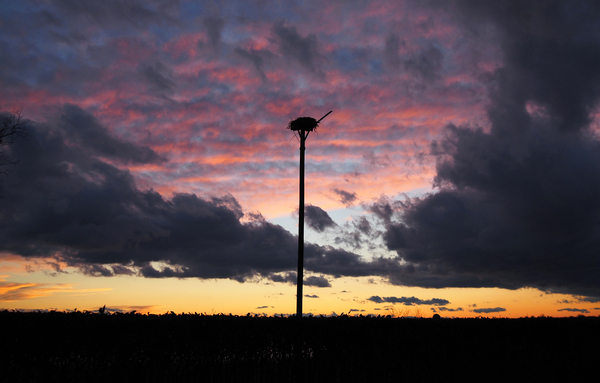 sunset over the Osprey nest by Adam M Bundy