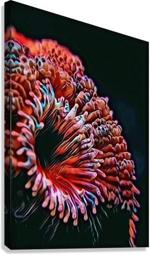 Blackout Acan Canvas Print