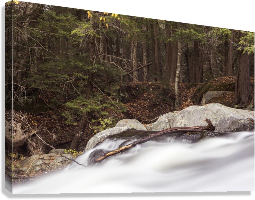 Elements Canvas Print