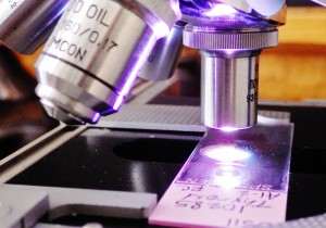 Microscope objective lenses and slide