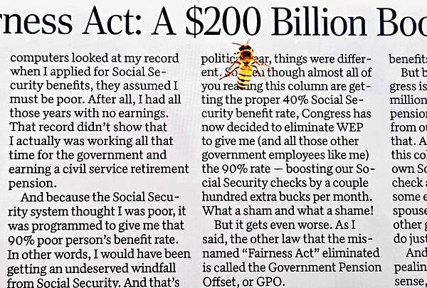 Bee on newspaper text Print