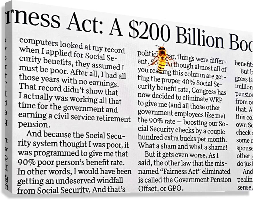 Bee on newspaper text Canvas Print