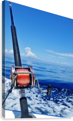 Saltwater Fishing Best Rock Fishing Rod And Reel Deep Sea Best Rod