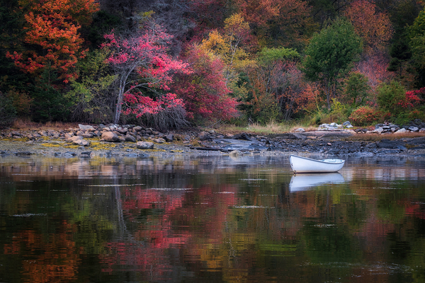 Autumn Reflections Print