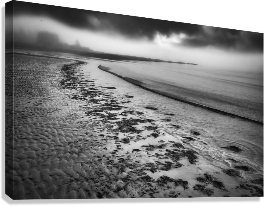 Solitude Canvas Print