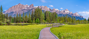 Policeman s Creek Boardwalk