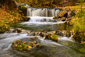 Canmore Creek Autumn 70
