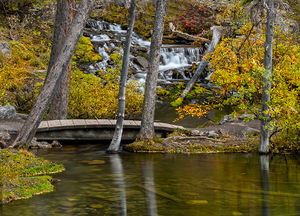 Grassi Creek Autumn