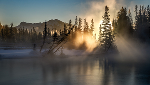 Policeman s Creek Cold 2