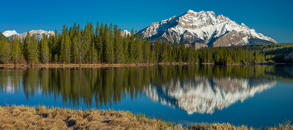 Cascade Reflection Print