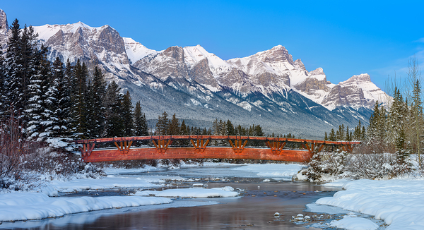 Policeman s Creek Bridge 1 BW Print