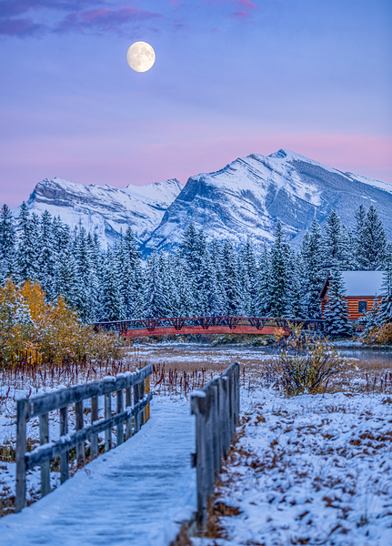 Policeman s Creek Walking Trail Print