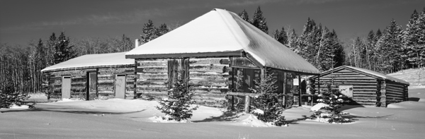 Winter Log Building Print