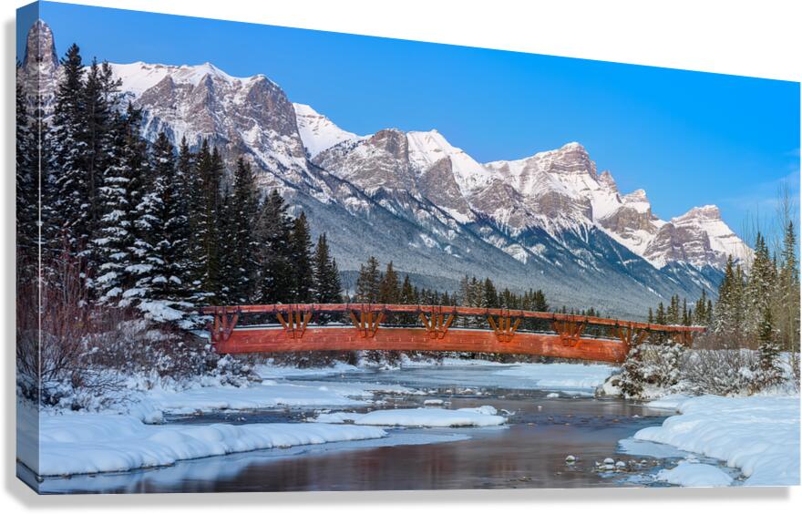 Policeman s Creek Bridge 1 BW Canvas Print