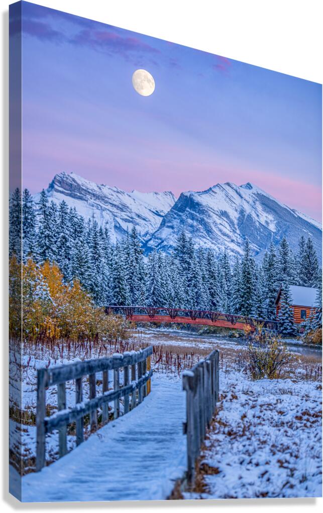 Policeman s Creek Walking Trail Canvas Print