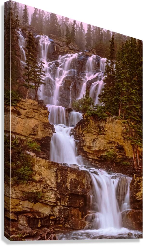 Tangle Falls Canvas Print