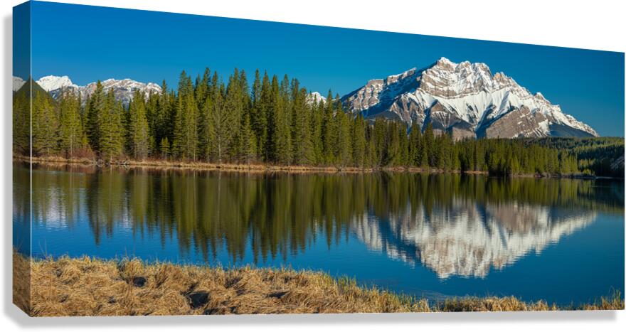 Cascade Reflection Canvas Print