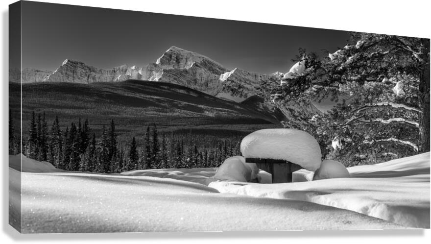 Storm Mountain 4 Canvas Print
