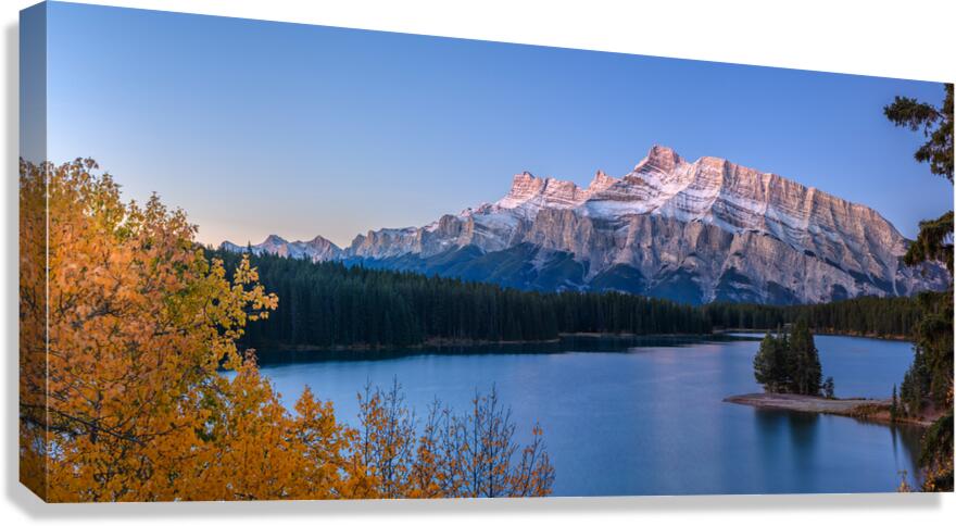 Two Jack 1 Canvas Print
