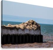 Melting Pier Canvas Print