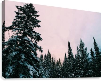 Snowy Sunset Canvas Print