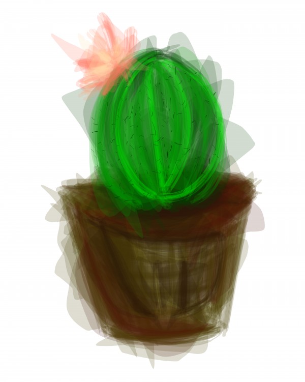  little cacti by Chino20