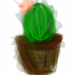  little cacti