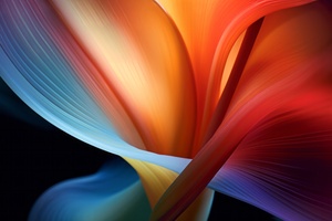 Celestial Meditations