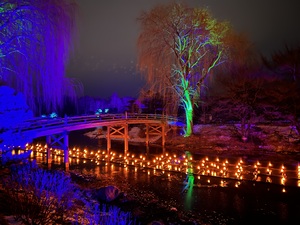 Light Festival