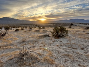 Borrego Springs CA