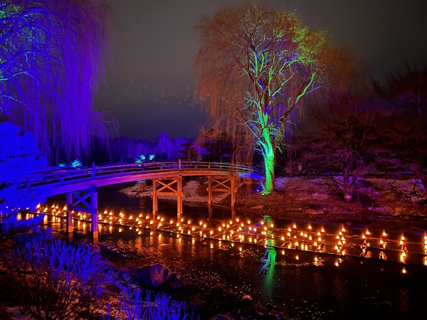 Light Festival by Tom Bromann