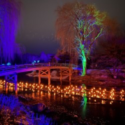 Light Festival