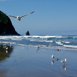 Cannon Beach