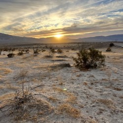 Borrego Springs CA