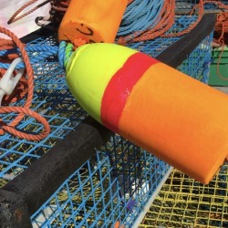 New England Lobster Traps
