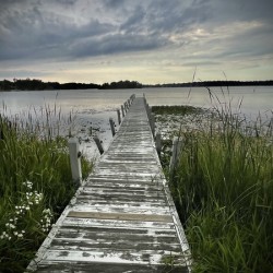 Lonely Pier
