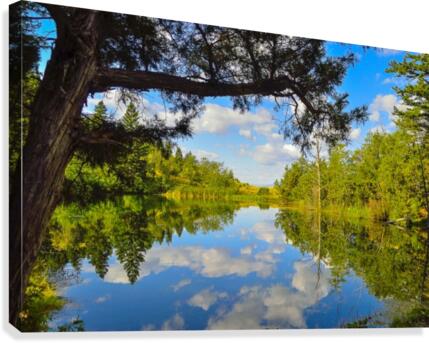 Chico Pond Canvas Print